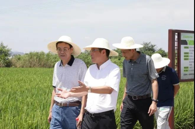 今年会·jnh(中国区)官方网站