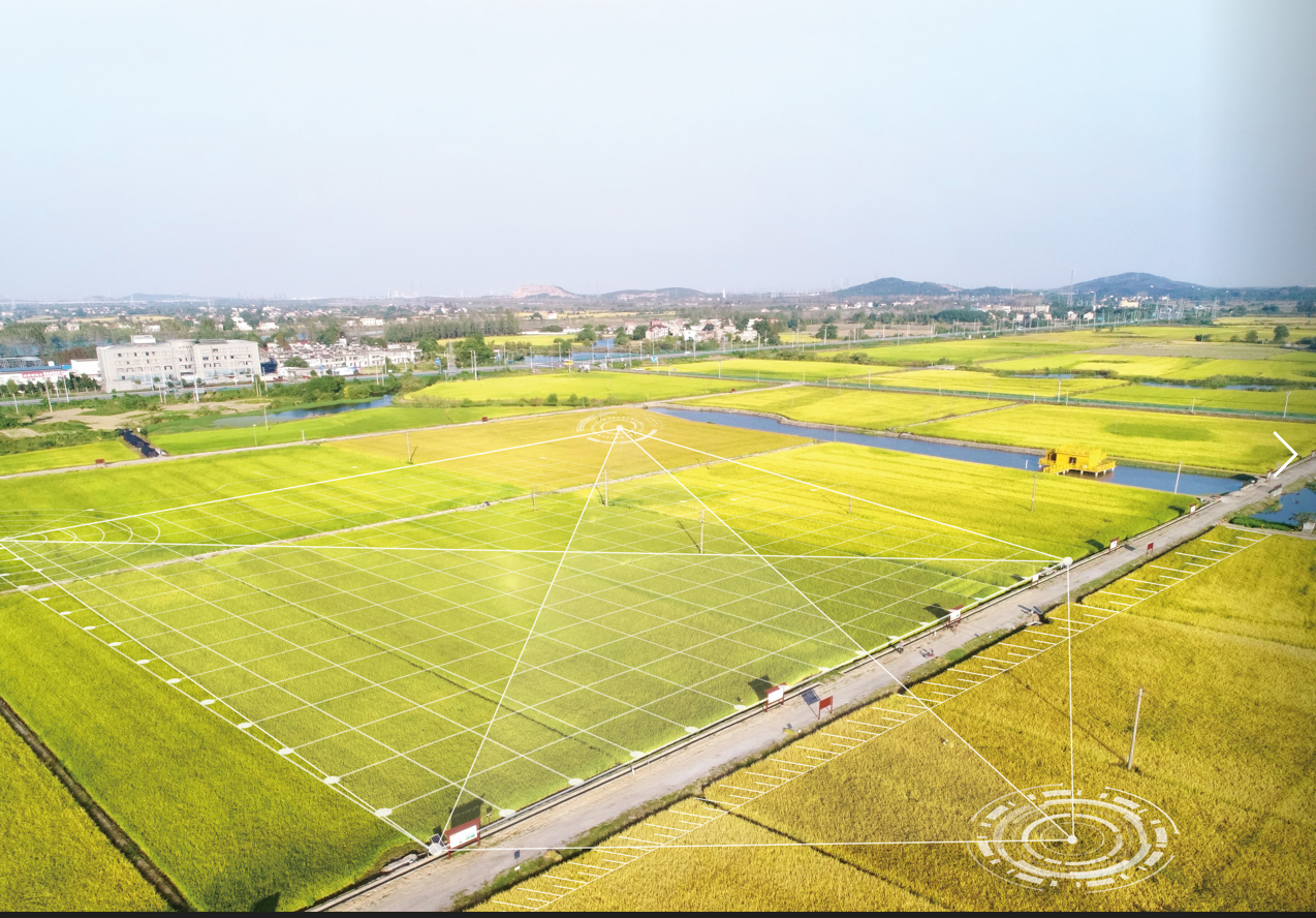 今年会·jnh(中国区)官方网站