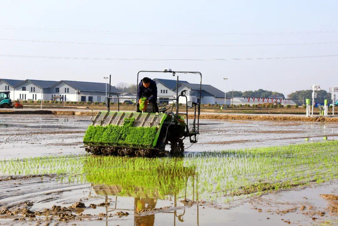 今年会·jnh(中国区)官方网站