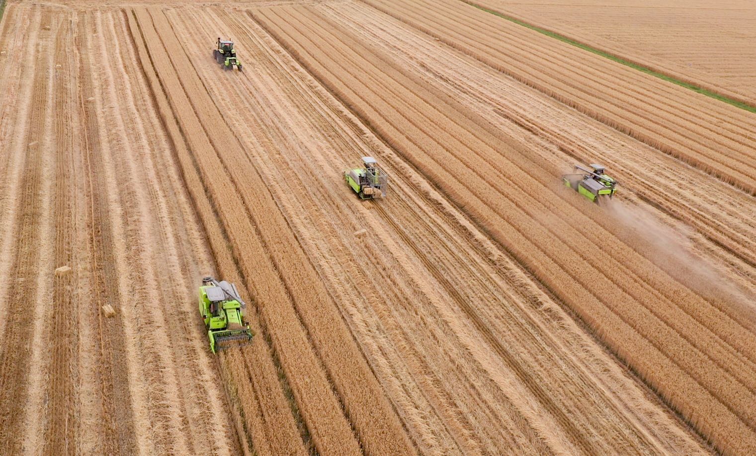 今年会·jnh(中国区)官方网站