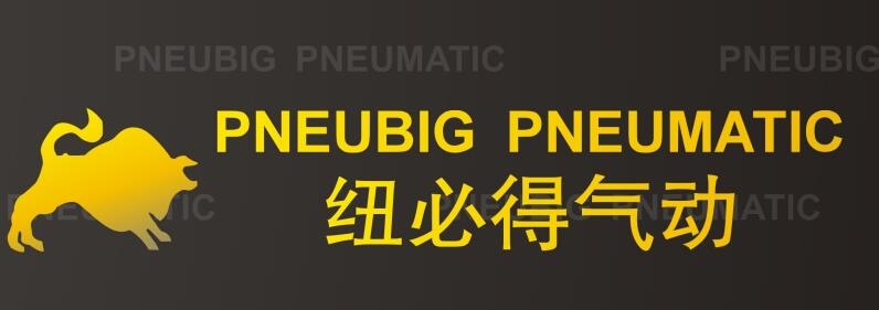 Ningbo Pneubig Pneumatic Co.,Ltd